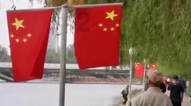 探望恩师带什么好?经典花鸟画推荐