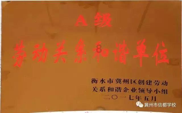龙之大陆宝宝不要了怎么丢弃-享受红迪网平台的多样话题和讨论