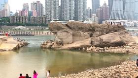 证监会:将充实应对市场波动的政策工具 及时做好风险对冲